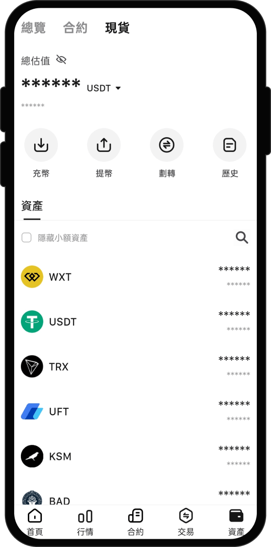 購買 Wokie Plumpkin by Virtuals (WOKIE) 後我能做什麼?