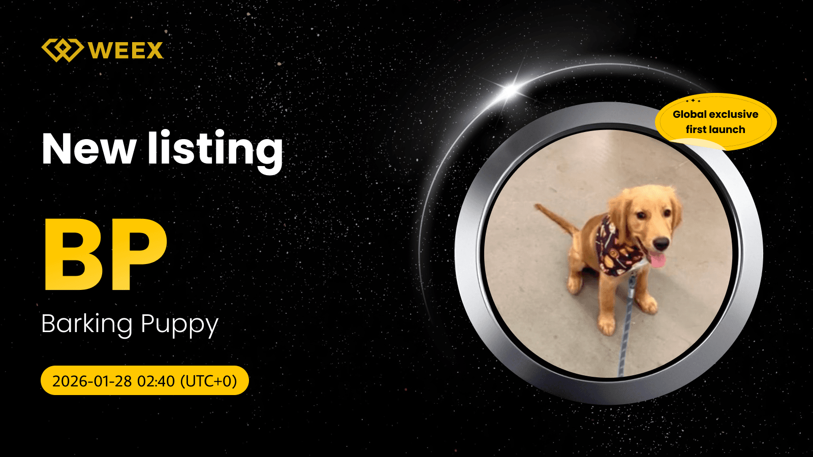 Barking Puppy (BP) 代幣獨家上線 WEEX 現貨交易 BP USDT