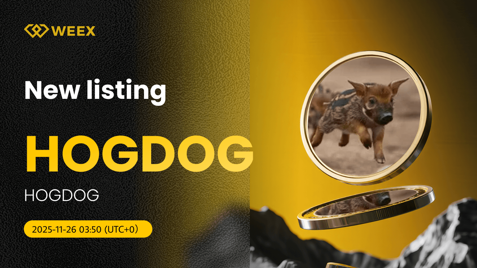 HOGDOG USDT Spot Trading Pair Gets Listed on WEEX