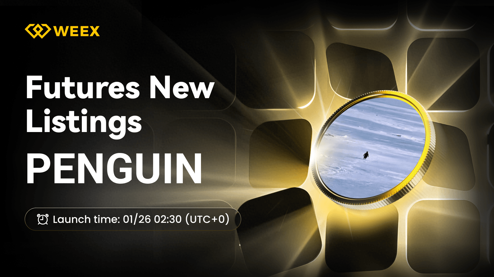 PENGUIN USDT永續合約在WEEX期貨交易所上市