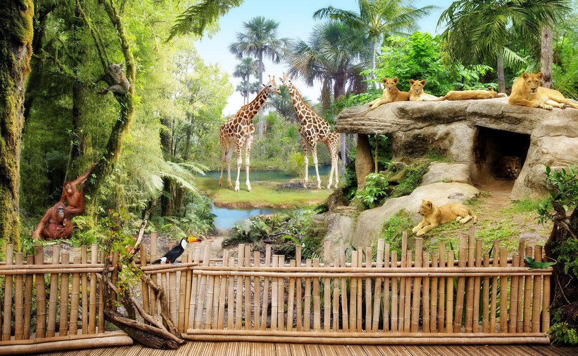 Zoo 代幣空投與上市:領取和交易 ZOO 代幣完全指南