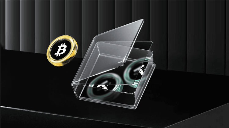 What is ASML Holding NV Tokenized Stock (ASMLON) Coin?