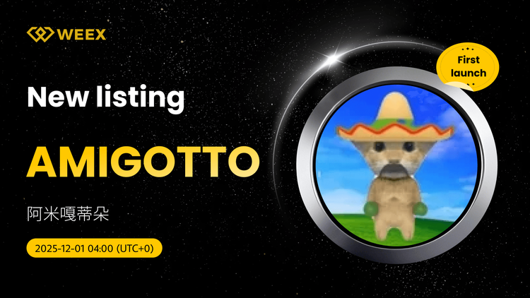 AMIGOTTO USDT Spot Trading Pair hiện đang được niêm yết trên WEEX Exchange