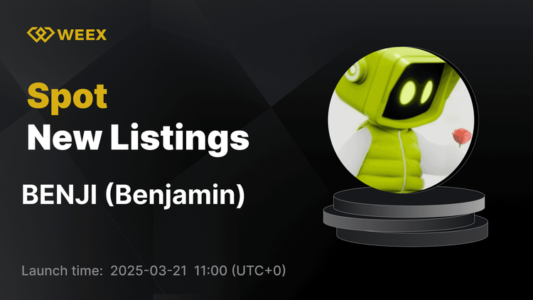 Benjamin (BENJI) 登陸 WEEX – 立即開始交易 BENJI USDT！