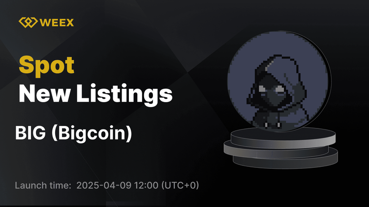 Bigcoin（BIG）現已上線WEEX現貨市場，BIG USDT交易對上線