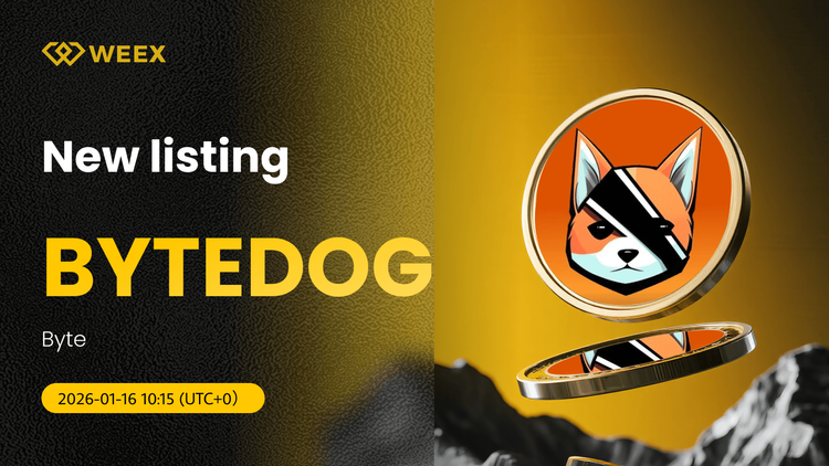 BYTEDOG USDT hiện có trên WEEX Spot: Giao dịch Byte Coin