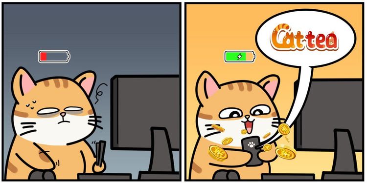 Cattea每日組合 2025年2月5日:最完整的Cattea空投指南