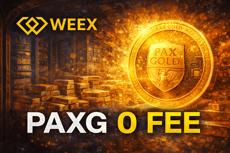 PAXG &amp; WEEX 零費率黃金合約：PAXG 實盤交易指南（2026年版）