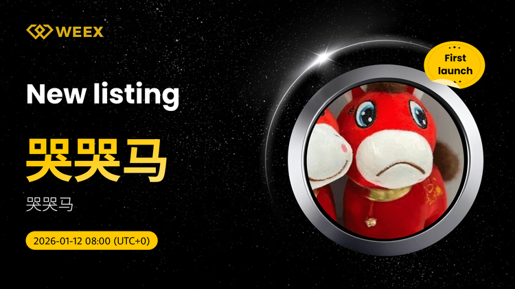 哭哭馬(哭馬) USDT 交易對在WEEX現貨列表