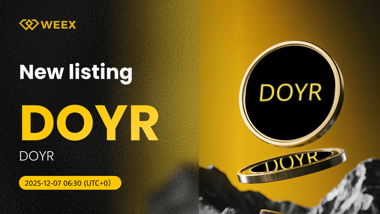 DoYR USDT Spot Trading Pair được niêm yết trên WEEX Exchange
