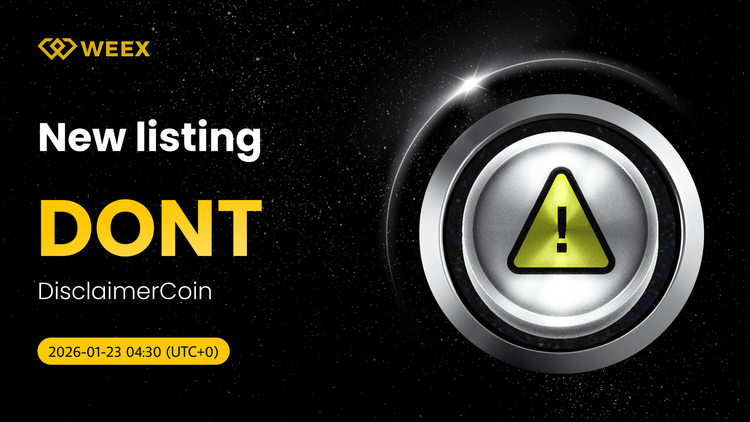 DONT USDT 現貨交易：DisclaimerCoin (DONT) 上線 WEEX