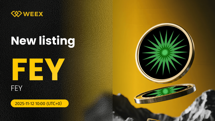 FEY USDT Now Live on WEEX: Giao dịch FEY Coin