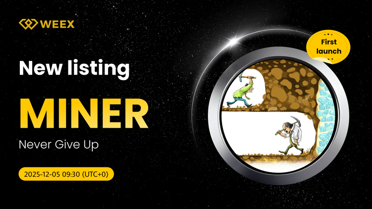 Không bao giờ từ bỏ (MINER) Coin Listed on WEEX with MINER USDT Spot Trading Pair