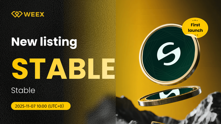 Cặp giao dịch USDT Spot STABLE Gets Listed on WEEX Exchange
