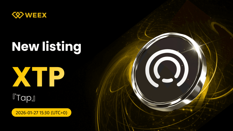 Coin Tap (XTP) được niêm yết trên WEEX Spot: Cặp XTP USDT đang hoạt động