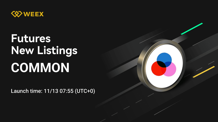 WEEX Futures Lists COMMON USDT Perpetual Contract