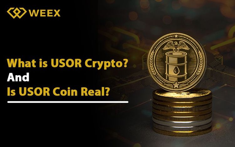 USOR：現實與虛構之間
