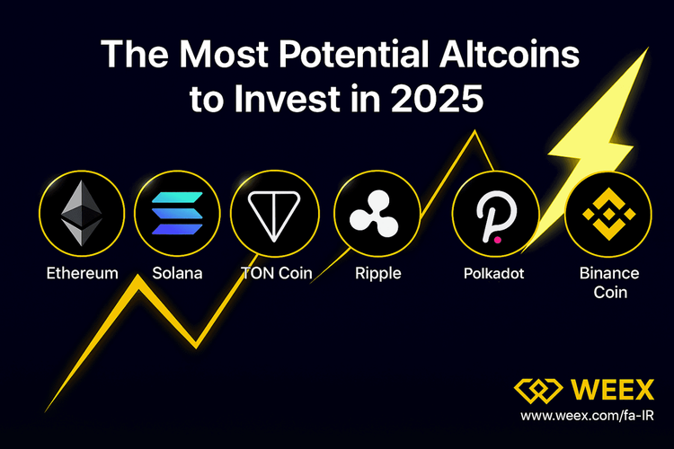 Các Altcoin tốt nhất để đầu tư năm 2025 | Hướng dẫn toàn diện cho người dùng Iran trên sàn giao dịch WEEX
