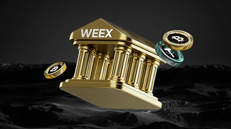 WEEX與其他交易所對比：2026年流動性與費用對比——哪款更勝一籌？