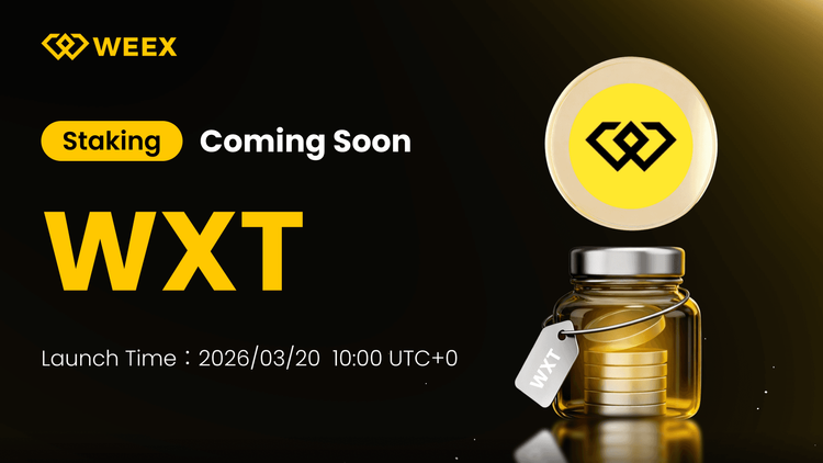 WEEX 推出 WXT 質押服務：您需要了解的內容
